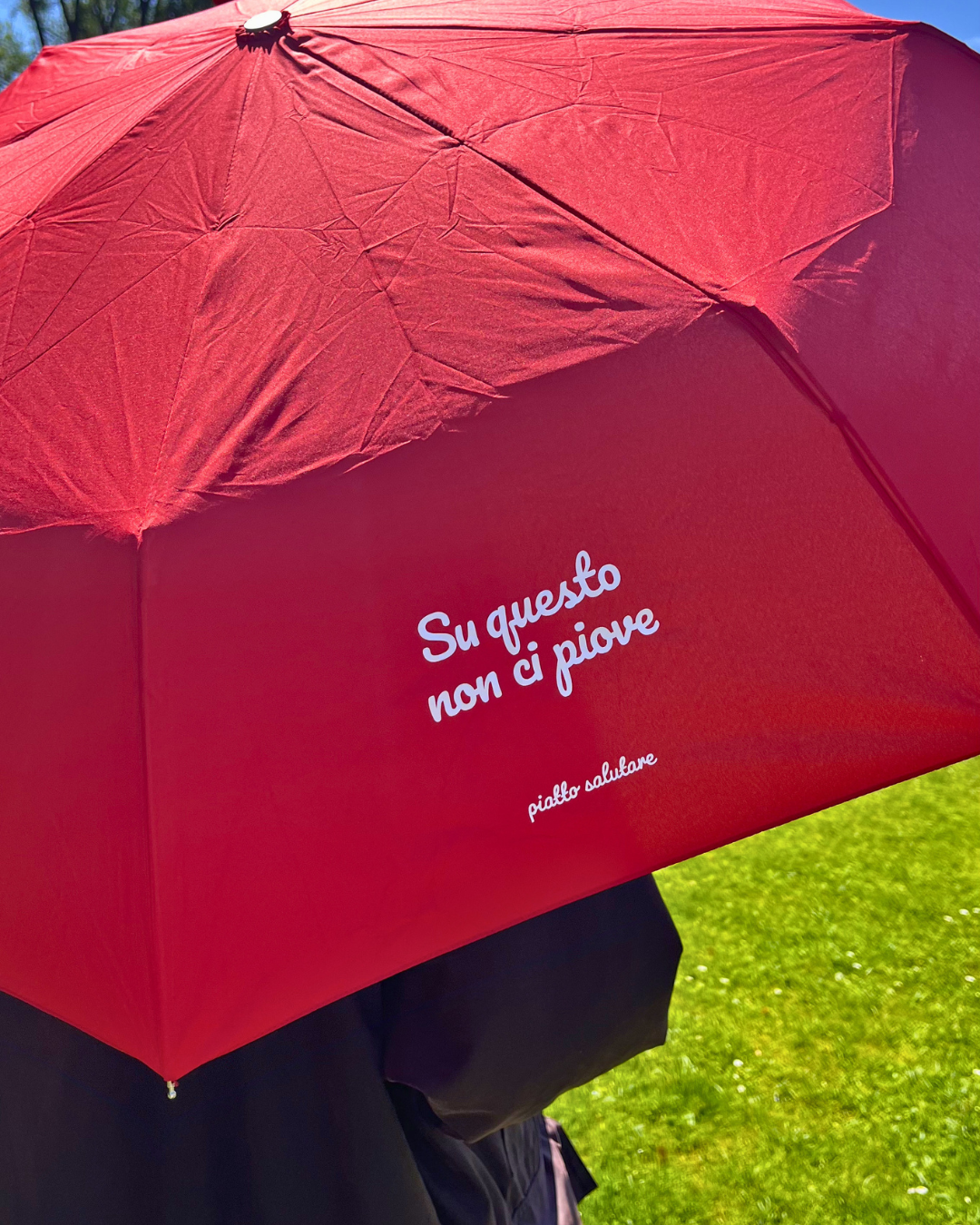 Ombrellino Su questo non ci piove